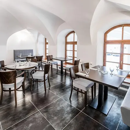 Hotell U Lva Bílina